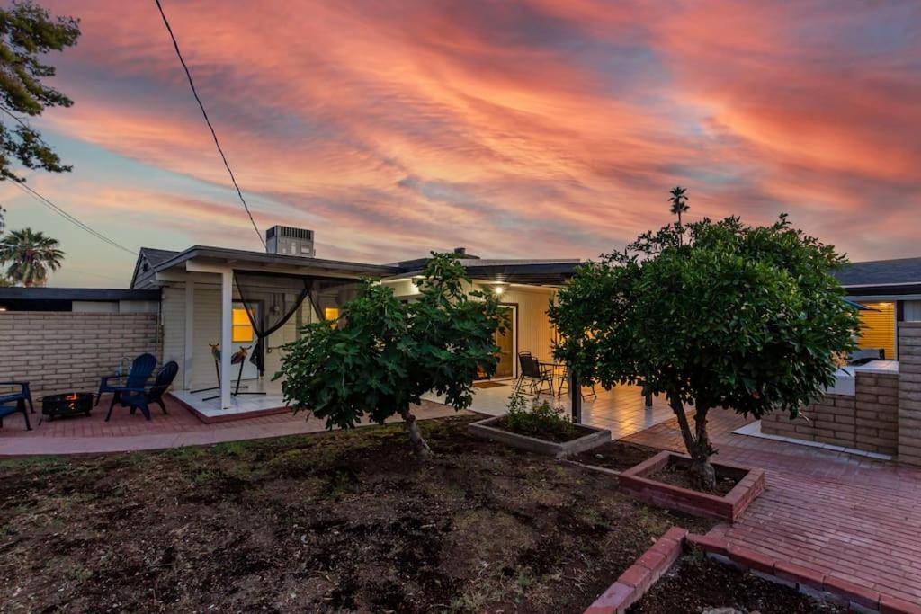 New Midtown Modern Studio With Backyard Phoenix Zewnętrze zdjęcie