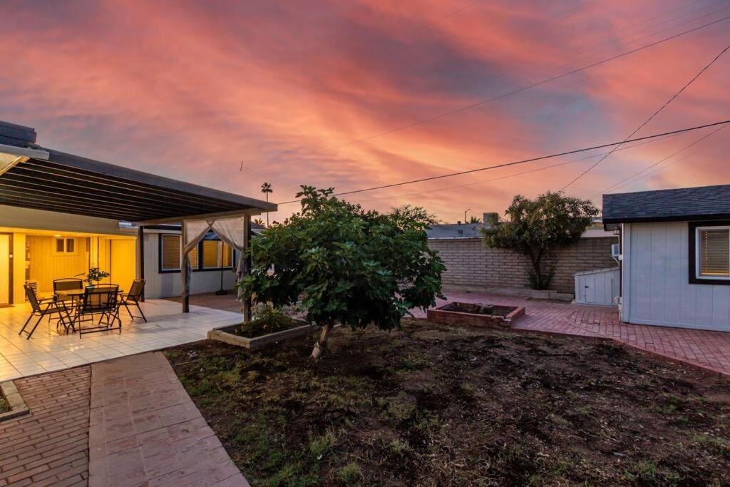 New Midtown Modern Studio With Backyard Phoenix Zewnętrze zdjęcie