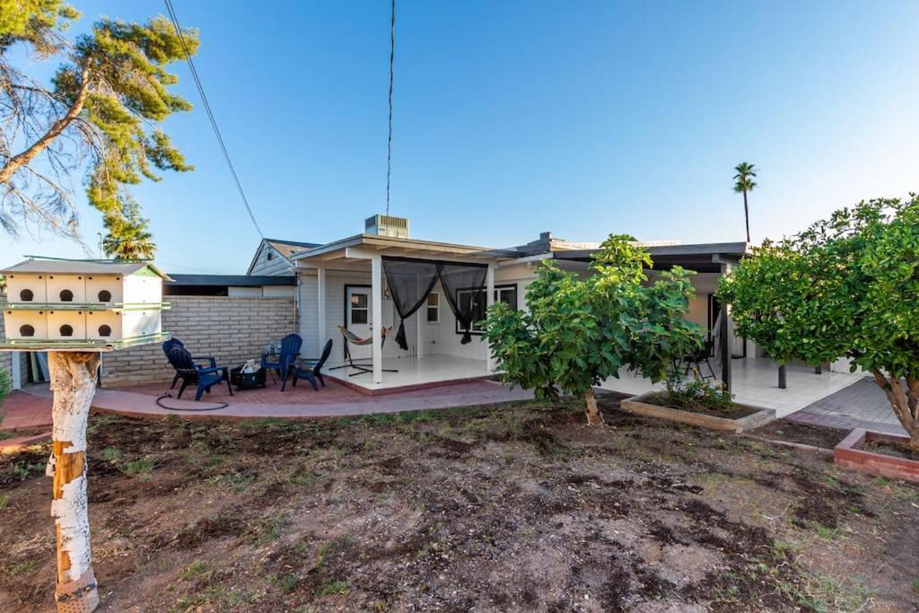 New Midtown Modern Studio With Backyard Phoenix Zewnętrze zdjęcie